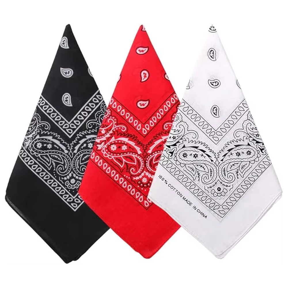 Hip Hop Cowboy Paisley Scarf L - Bandana Blank White recensie en prijs