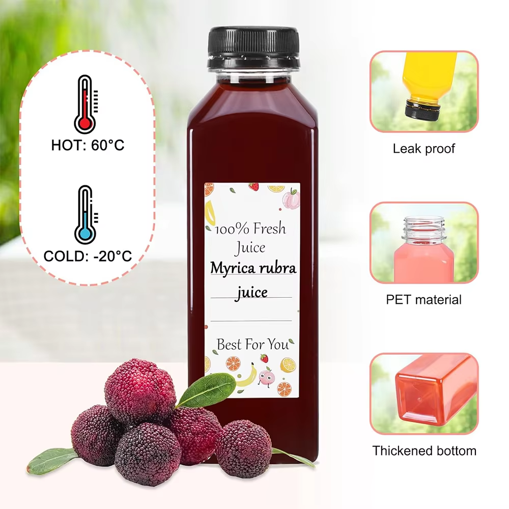500ML Juice Bottles with Caps  - Water Bottle Blank recensie en prijs